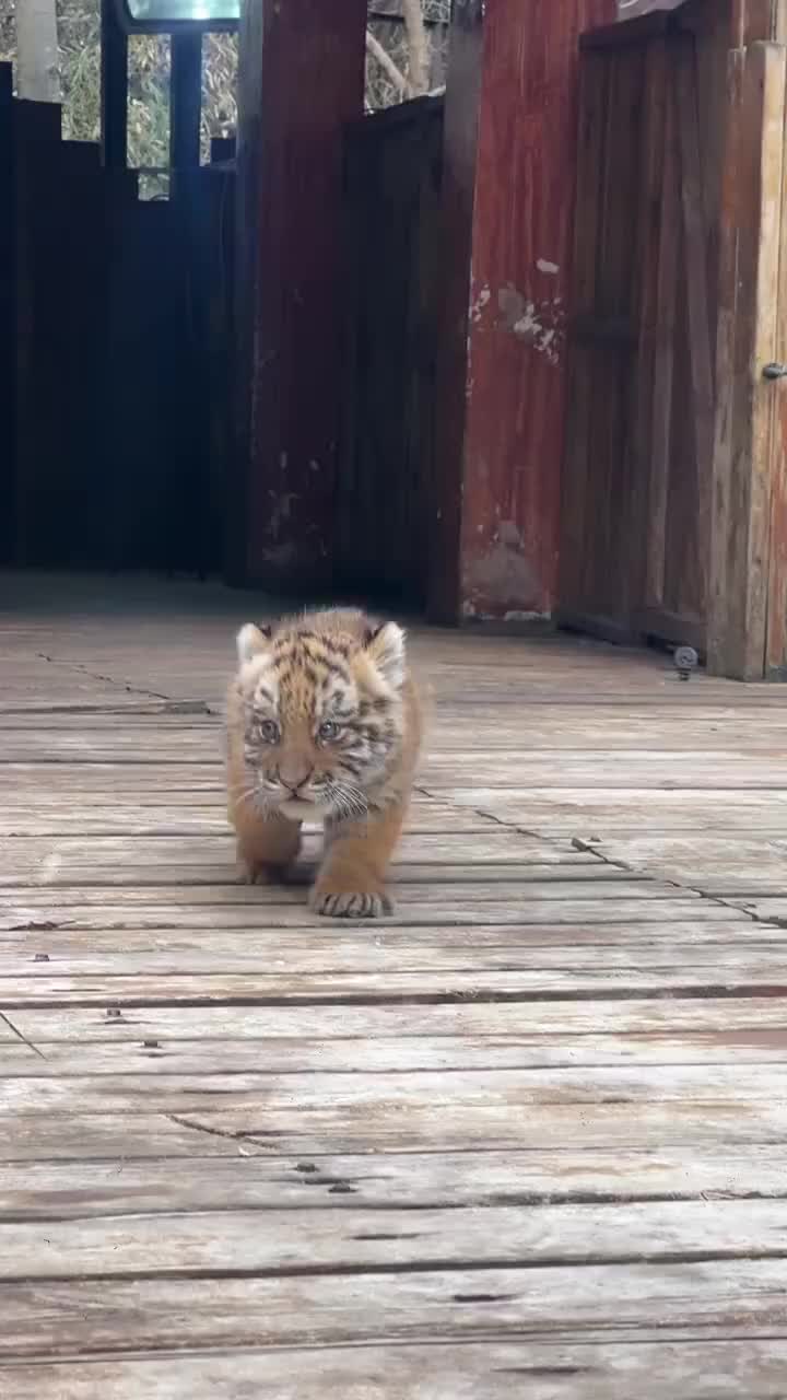 @👀