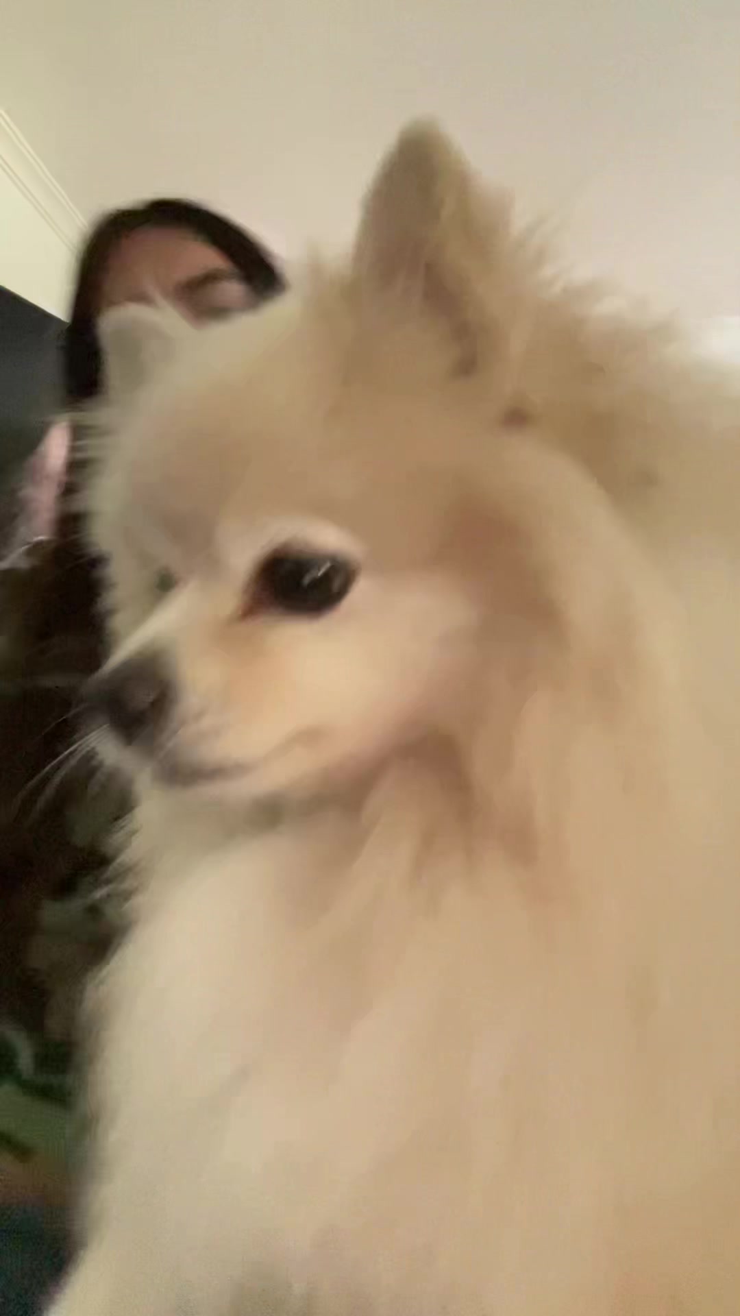 @dabbingun1corn
