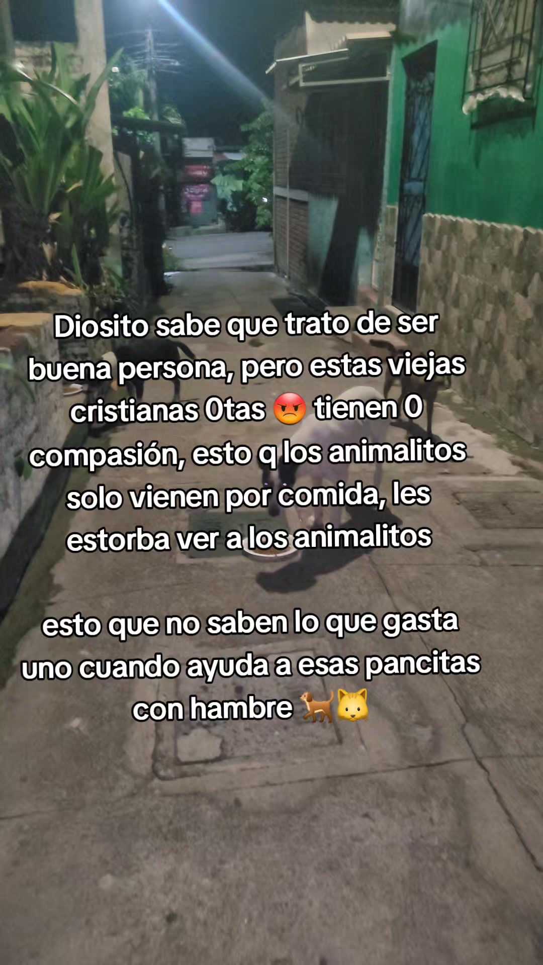 @𝕃𝕚𝕤𝕤 ℝ𝕖yes🇸🇻