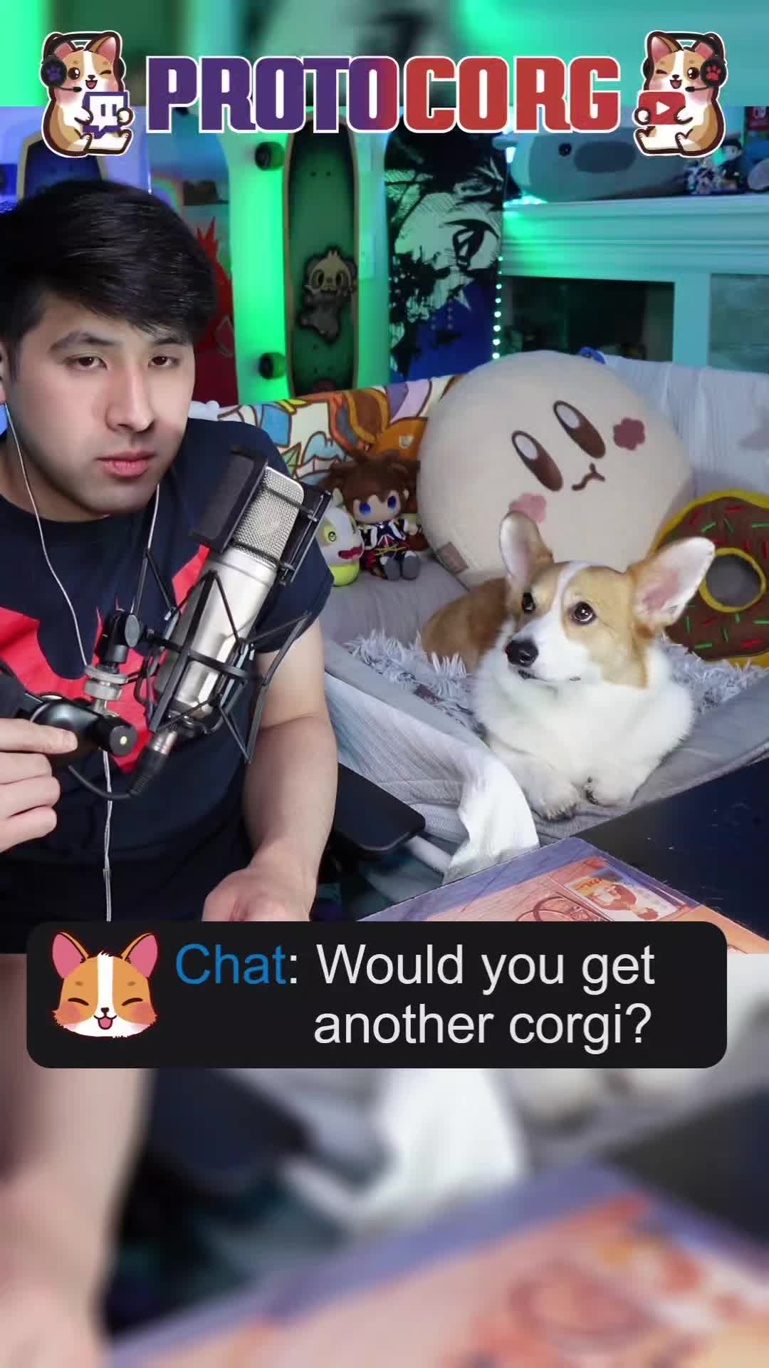 @Protocorg | Twitch Streamer
