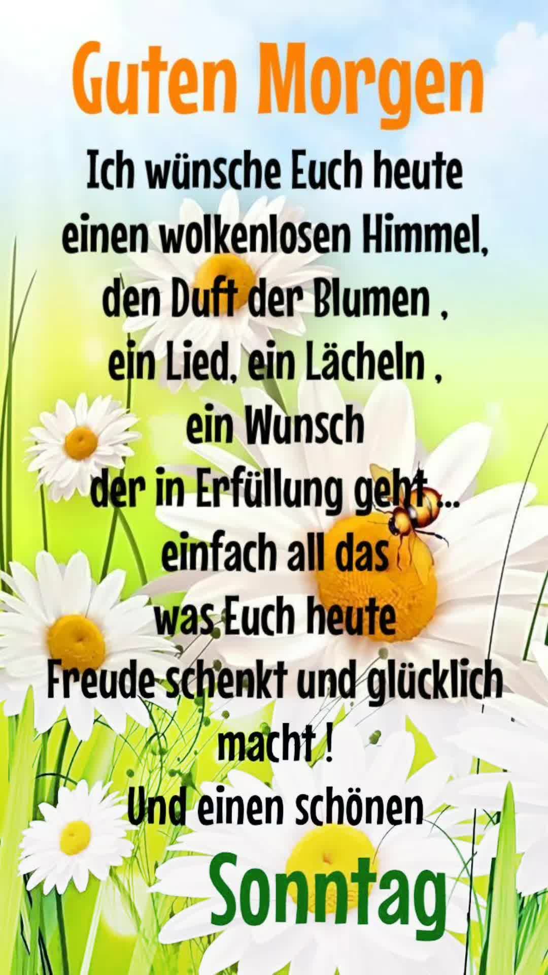@stefangeilhausen3