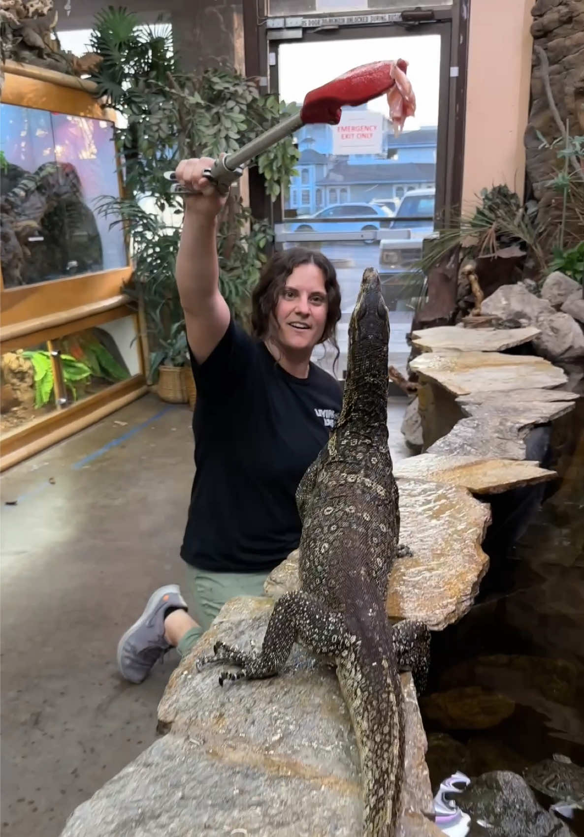 @The Reptile Zoo