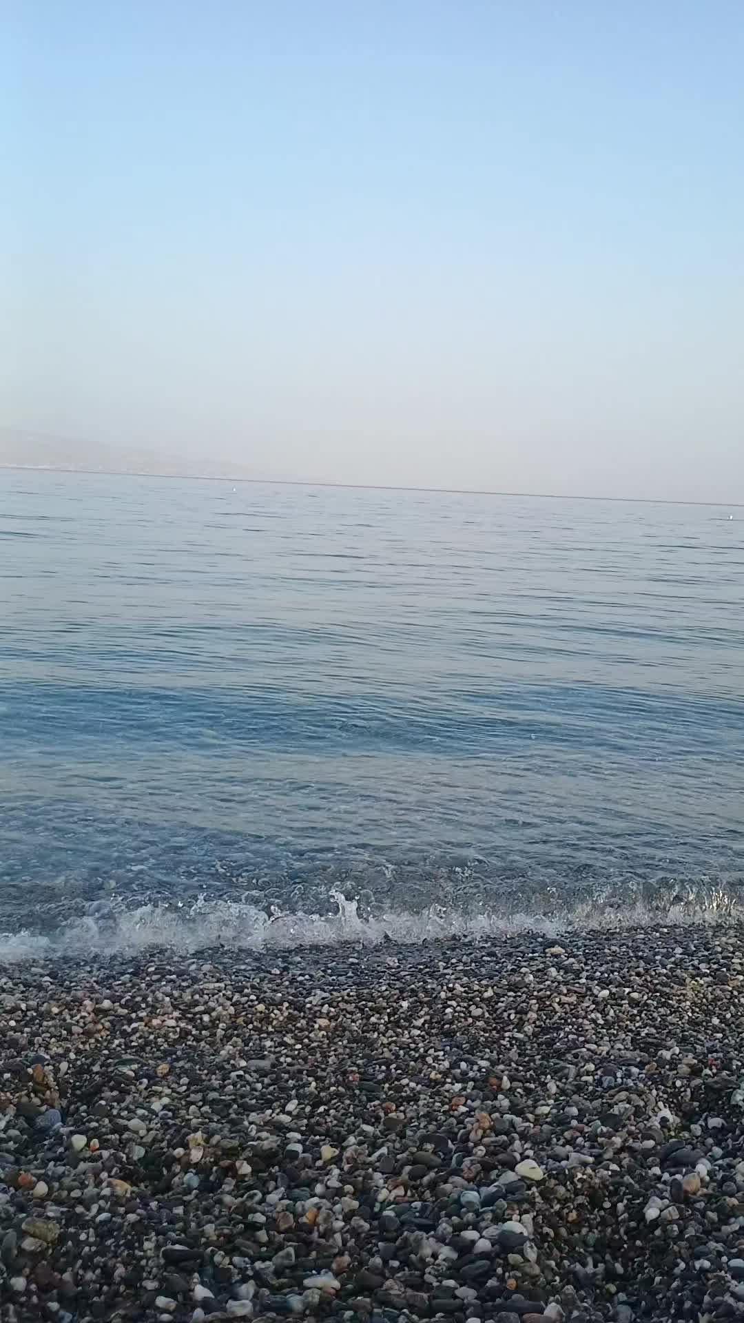 @martaanzalone4
