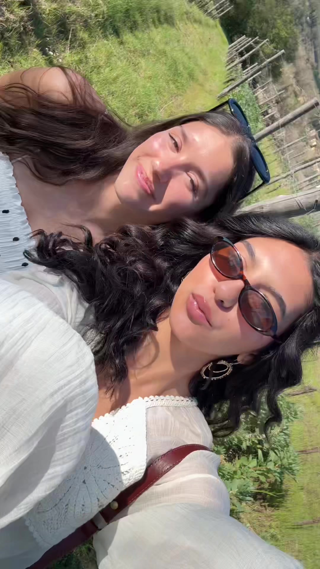 @dani