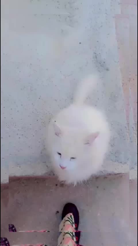 @رنا الروح