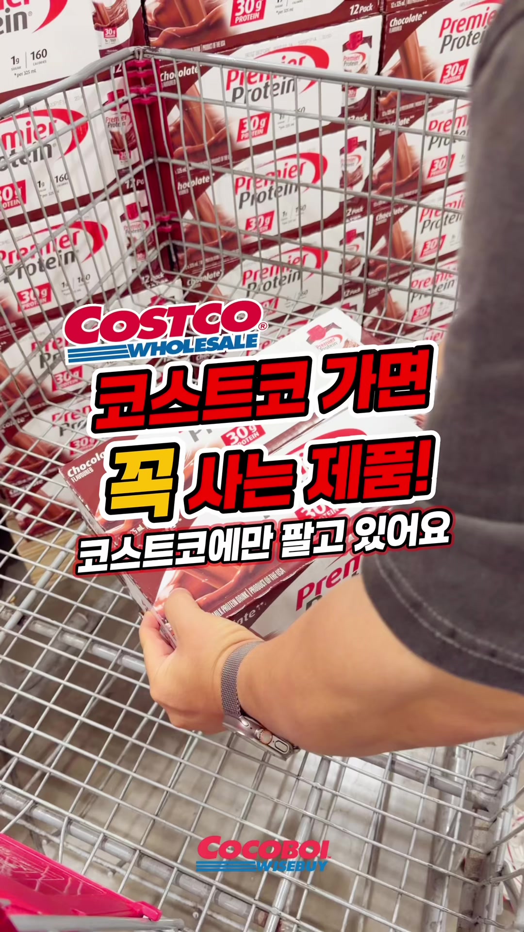 @코코보이 I CocoBoi