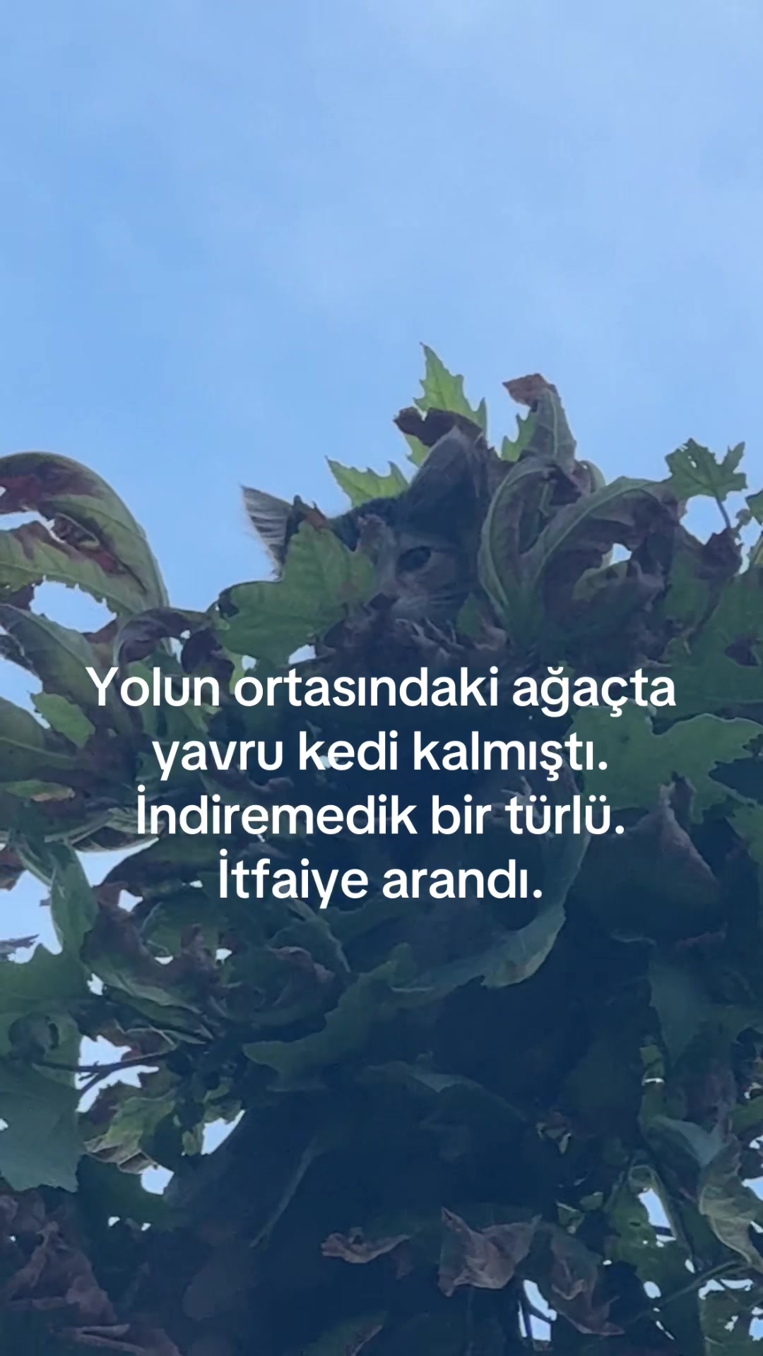 @Mezar Turizm