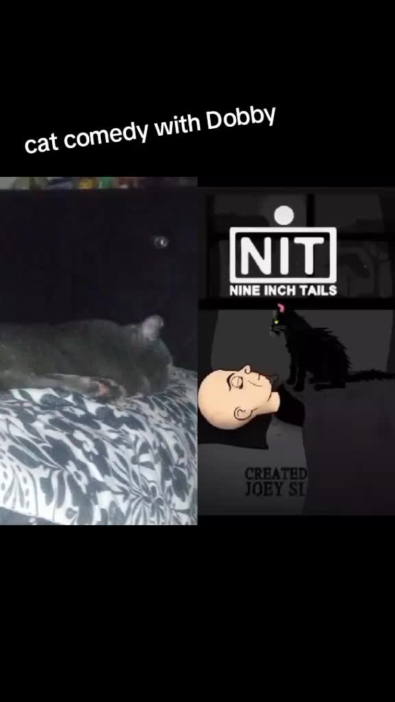 @TragicleyForsakenMeow