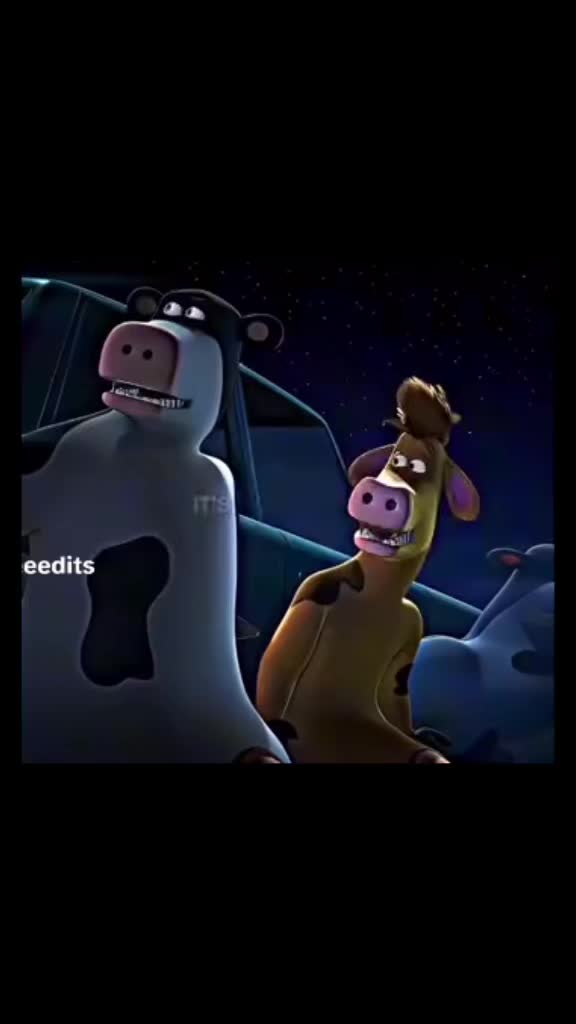 @haisyn