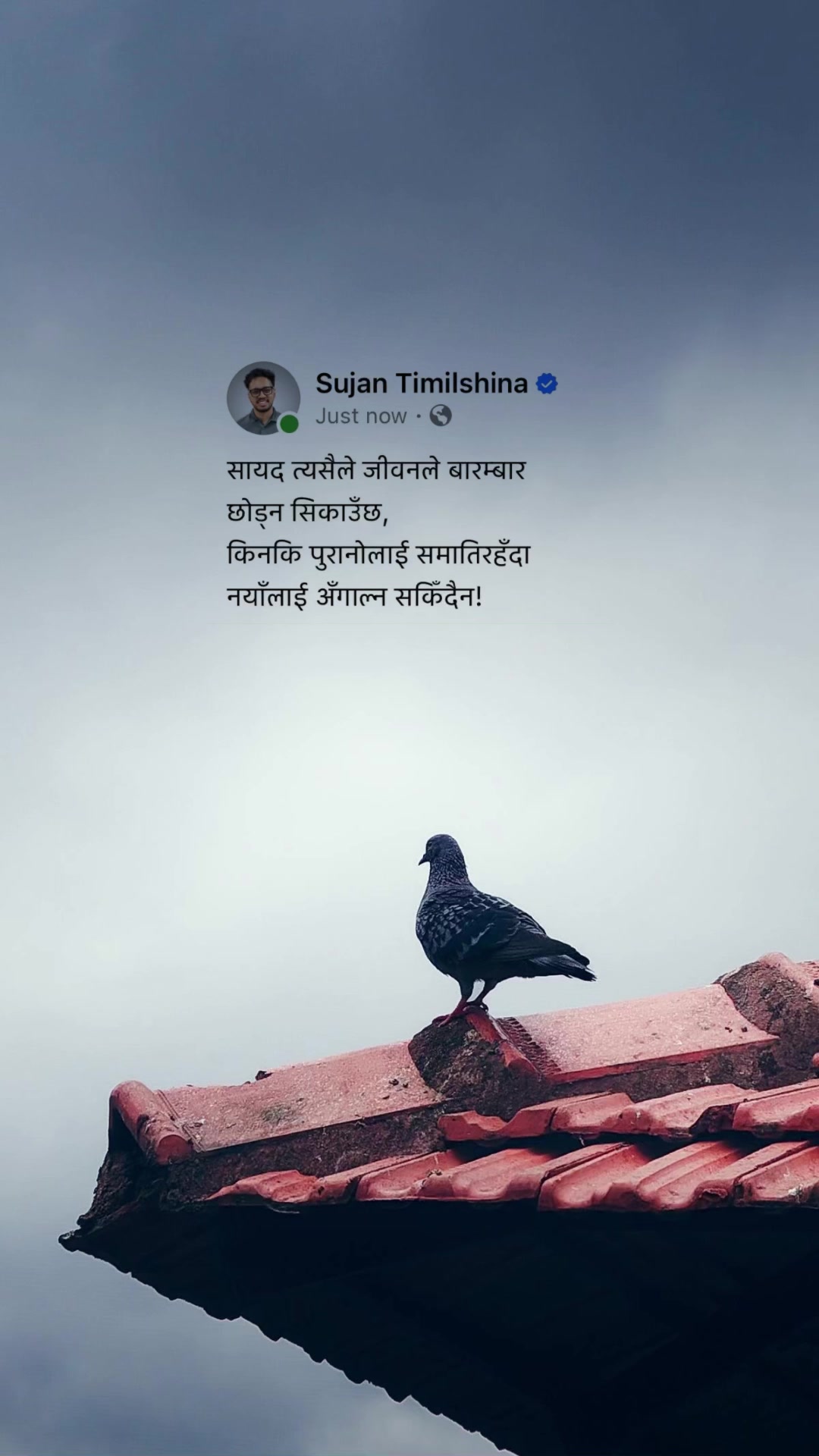 @SARKAAR