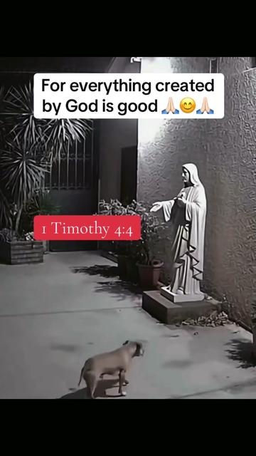@Jesus
