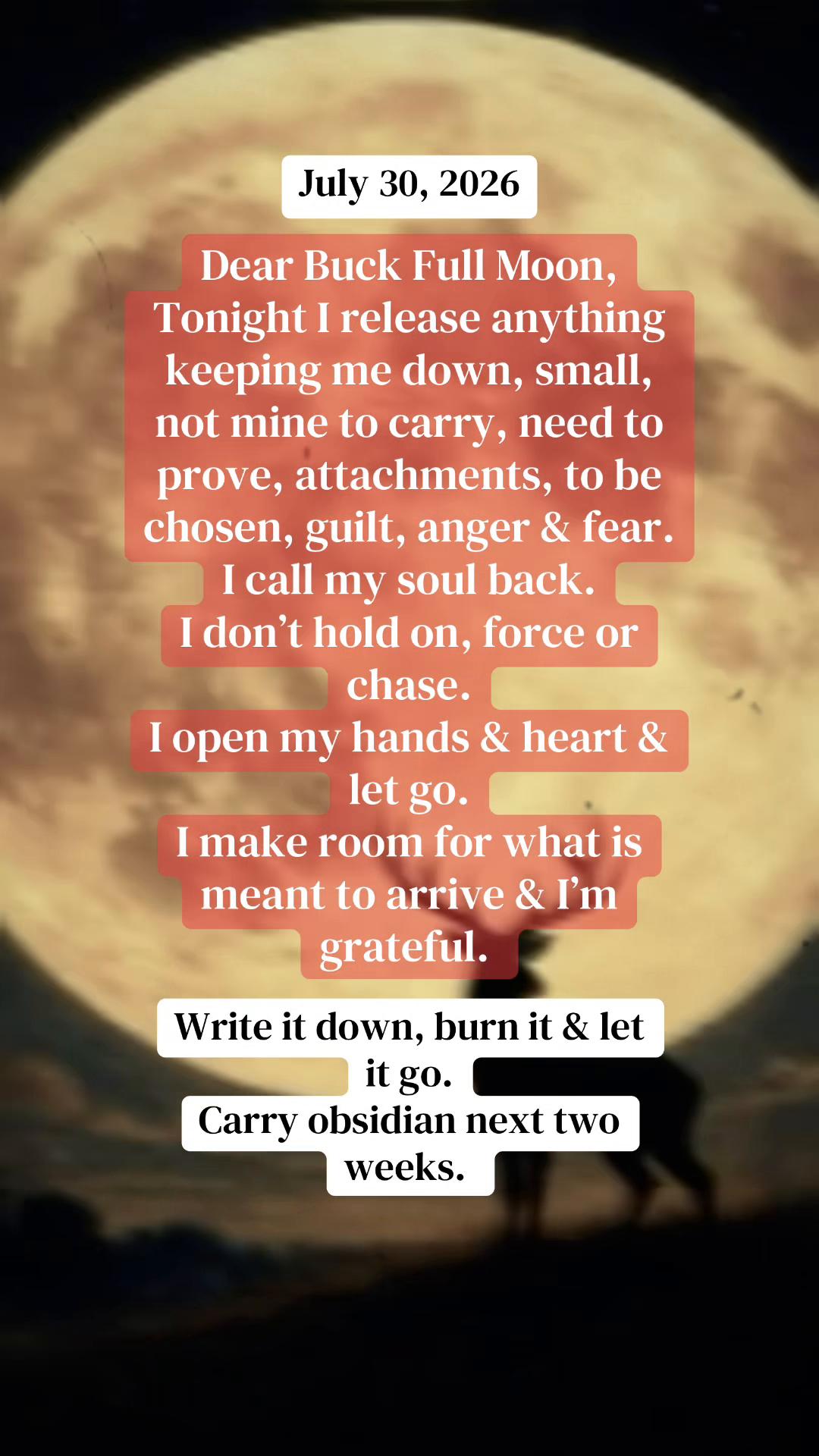 @Guccicowgirl 🥀🪽💋🐦⬛