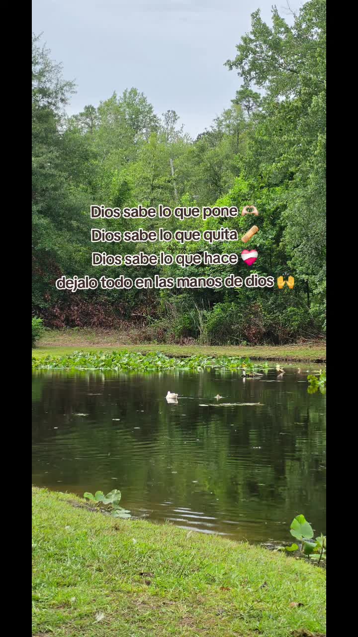 @doly.dfn
