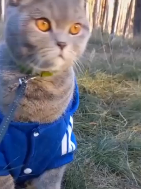 @БУЧ211