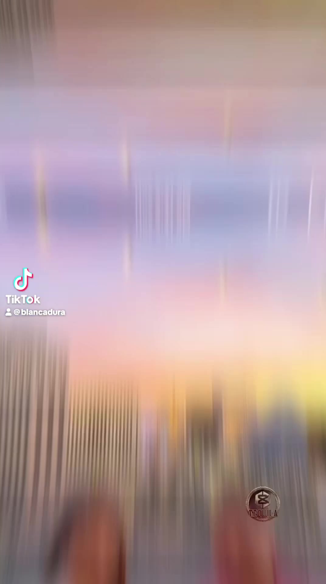 @🎀Blankita💖de Chihuahua 🎀