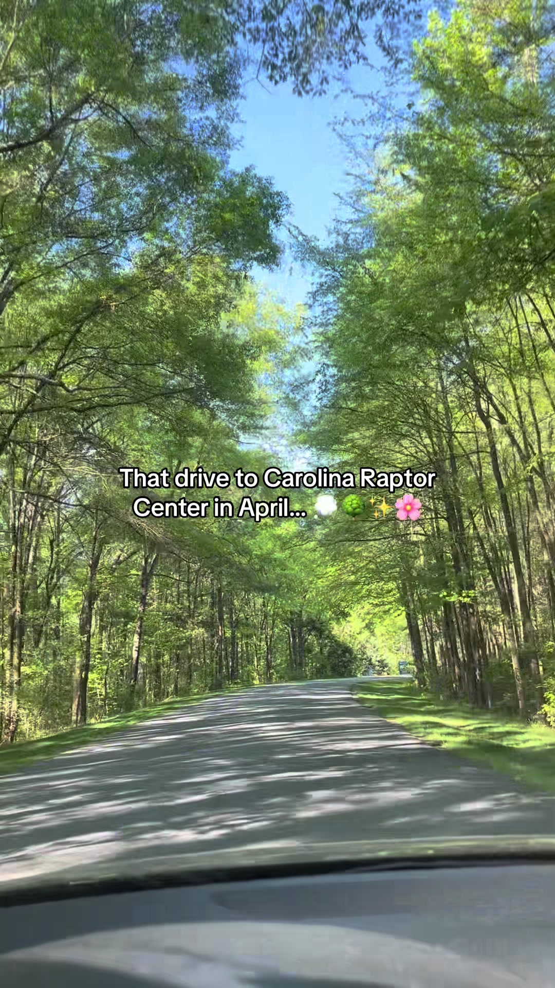@Carolina Raptor Center