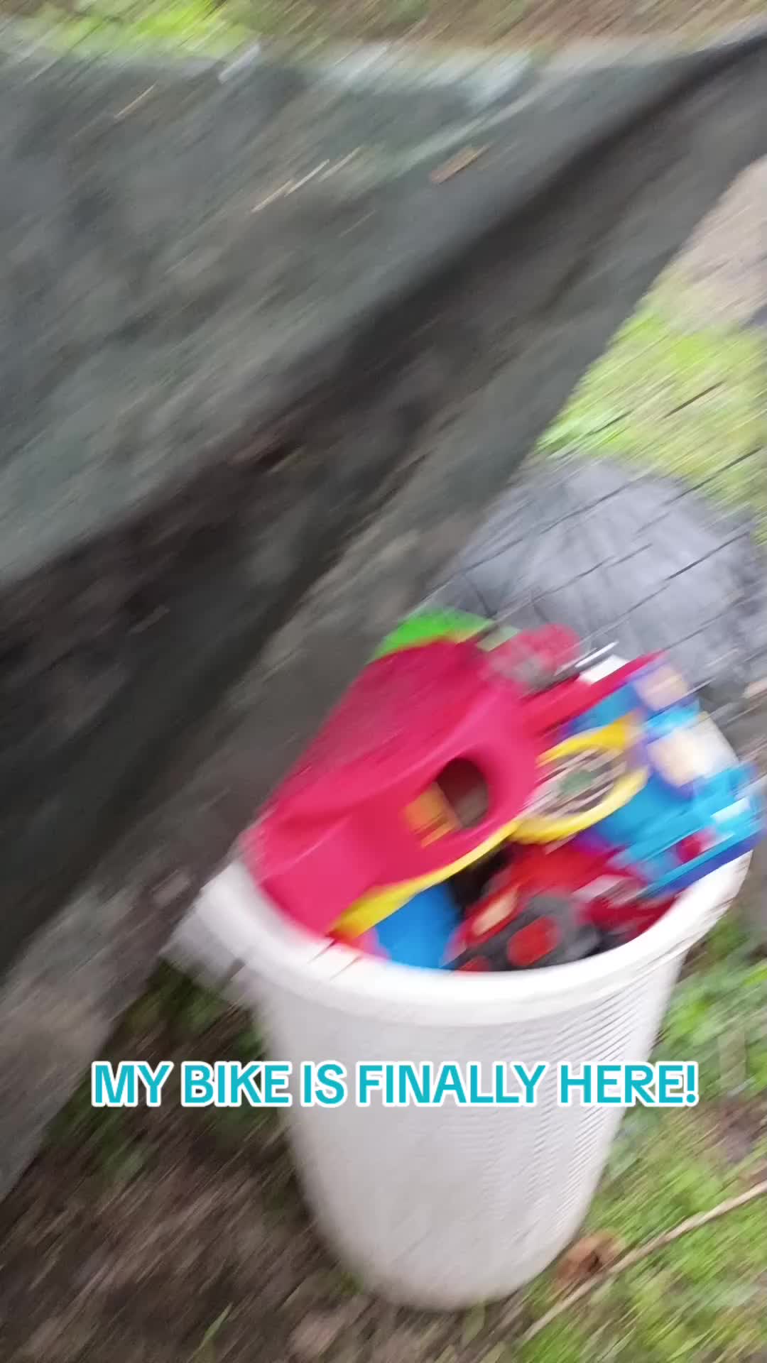 @🥝 k1w1