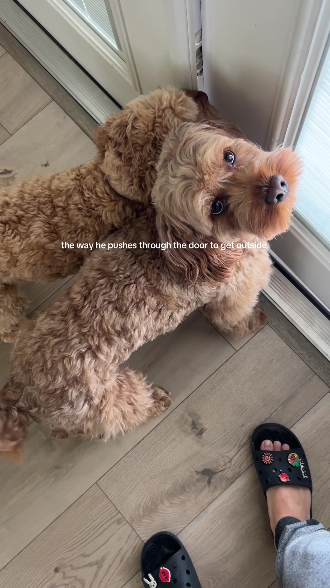 @Bailey & Coco