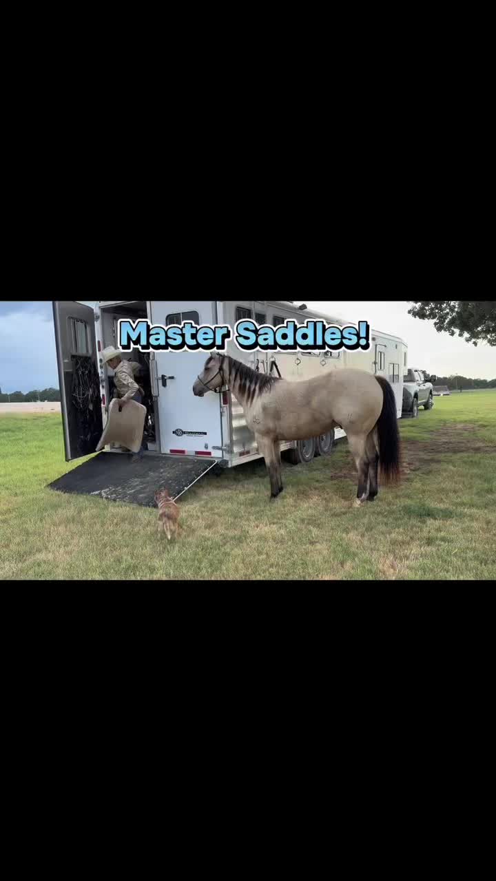 @Mastersaddles