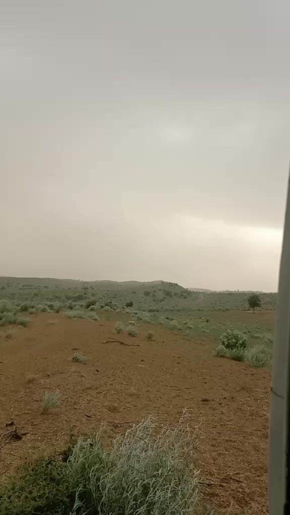 @Mumtaz Ali