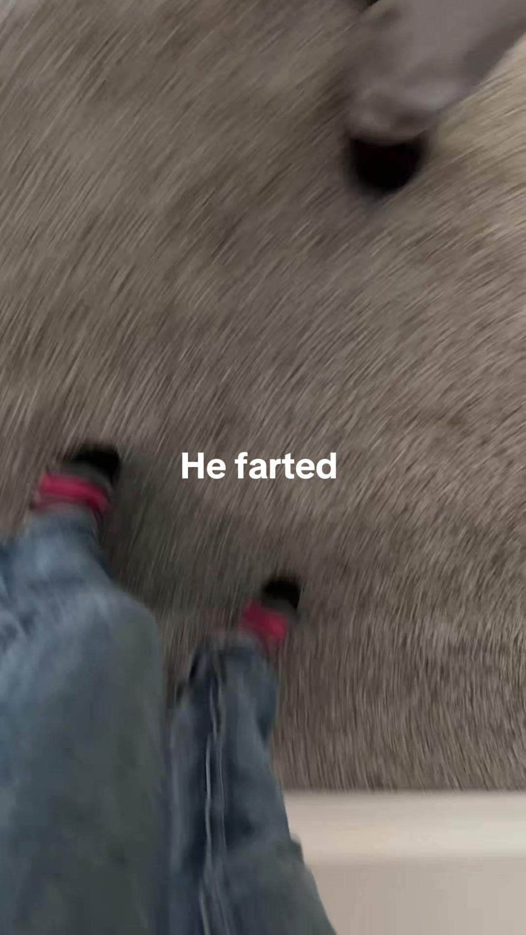 @Jaidyn