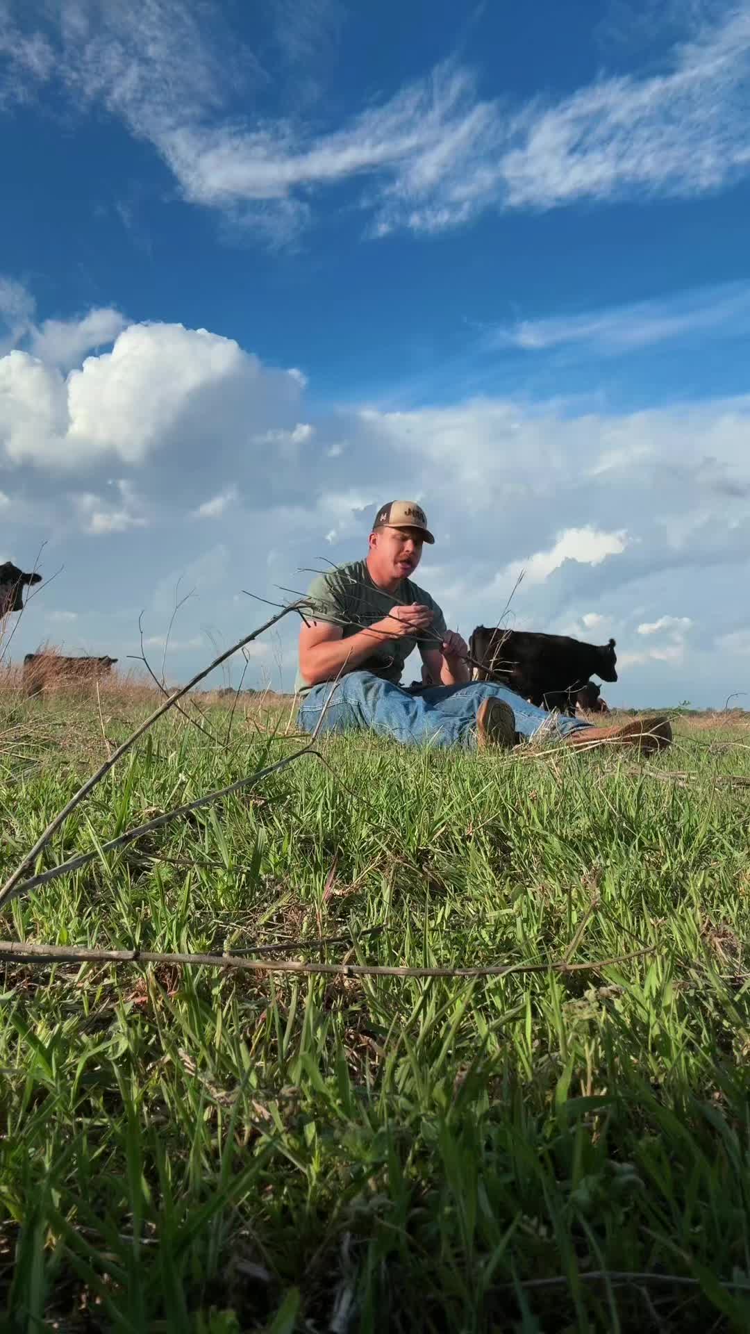 @LaneGorrell