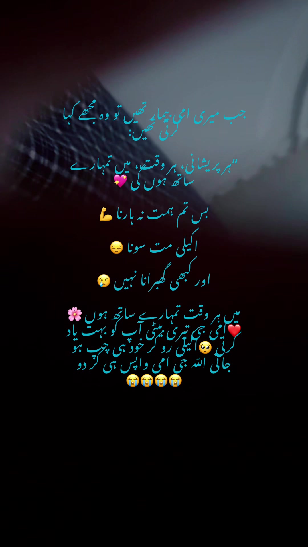 @Gulkhan🫶🏻