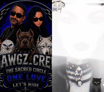 @DAWGZEMPIRE