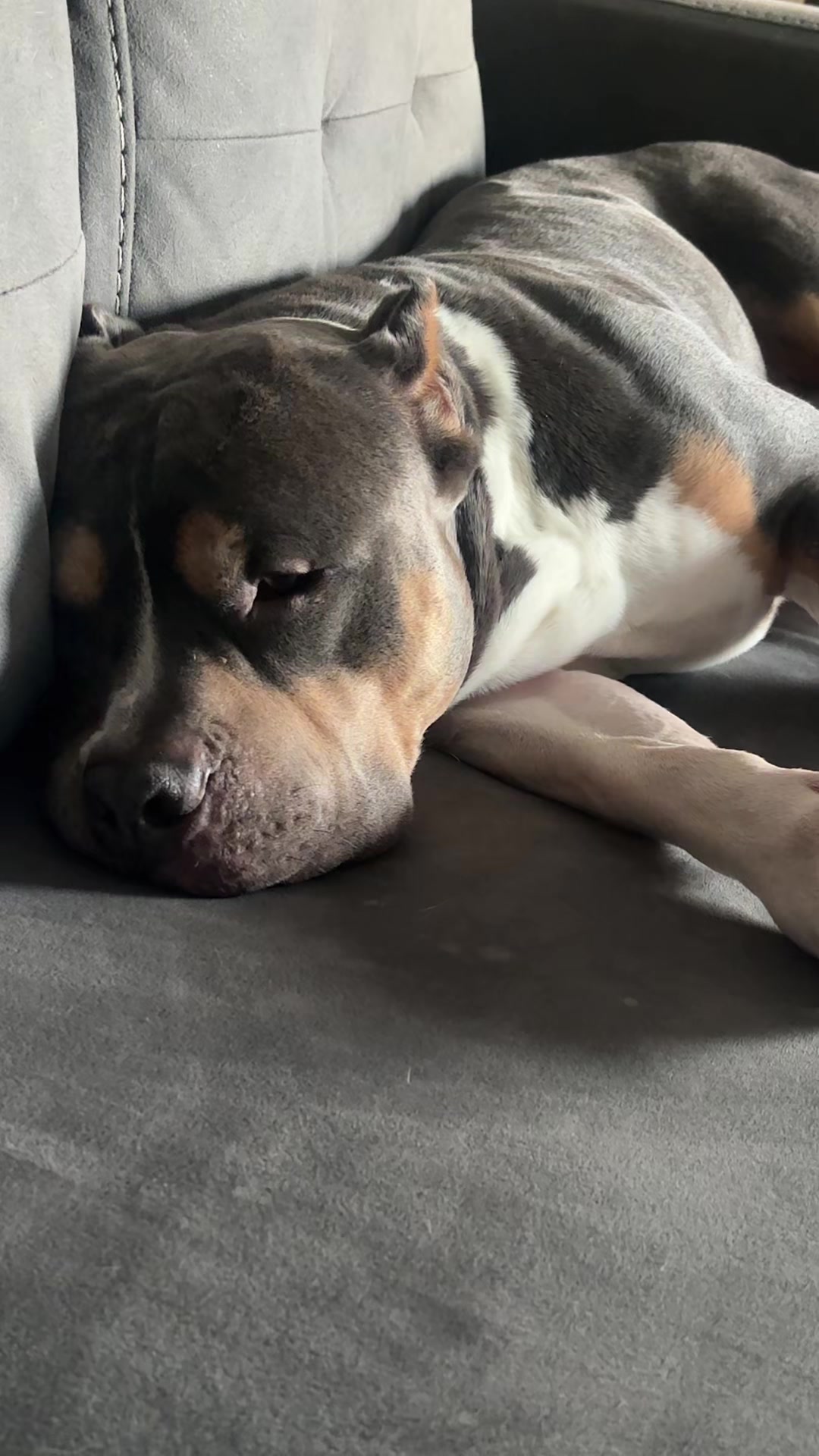 @neighborhoodbullyzLLC