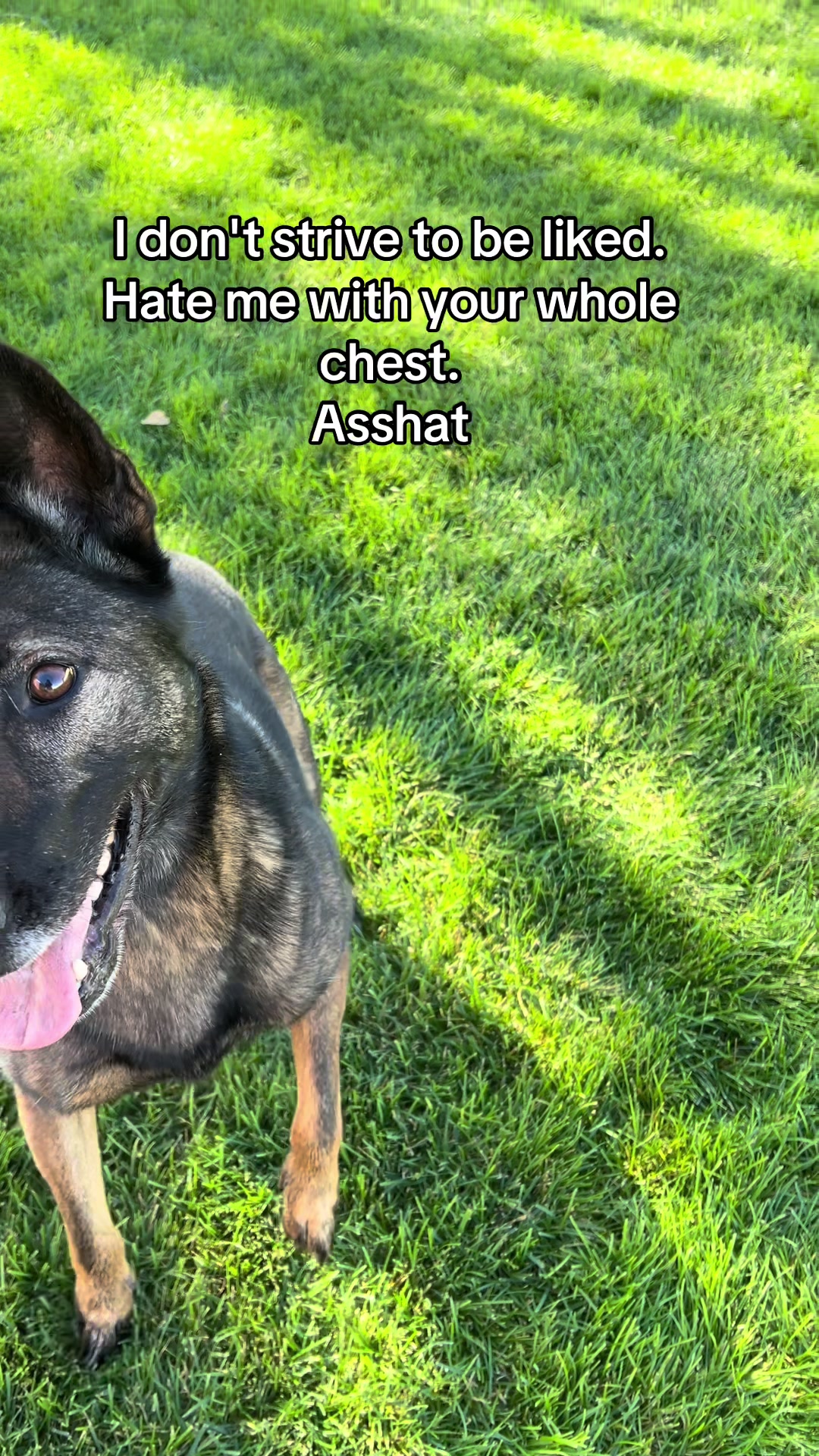 @K9 Dina