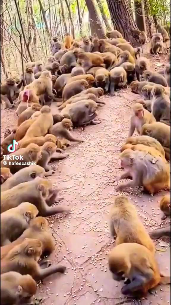 @Priyanka Yadav