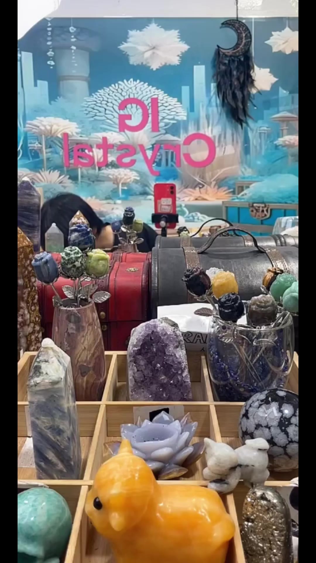 @IG Crystal Paradise