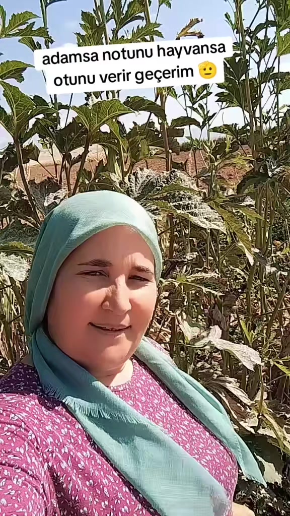 @🐏Y&Ouml;R&Uuml;K KIZI 🐏33.70