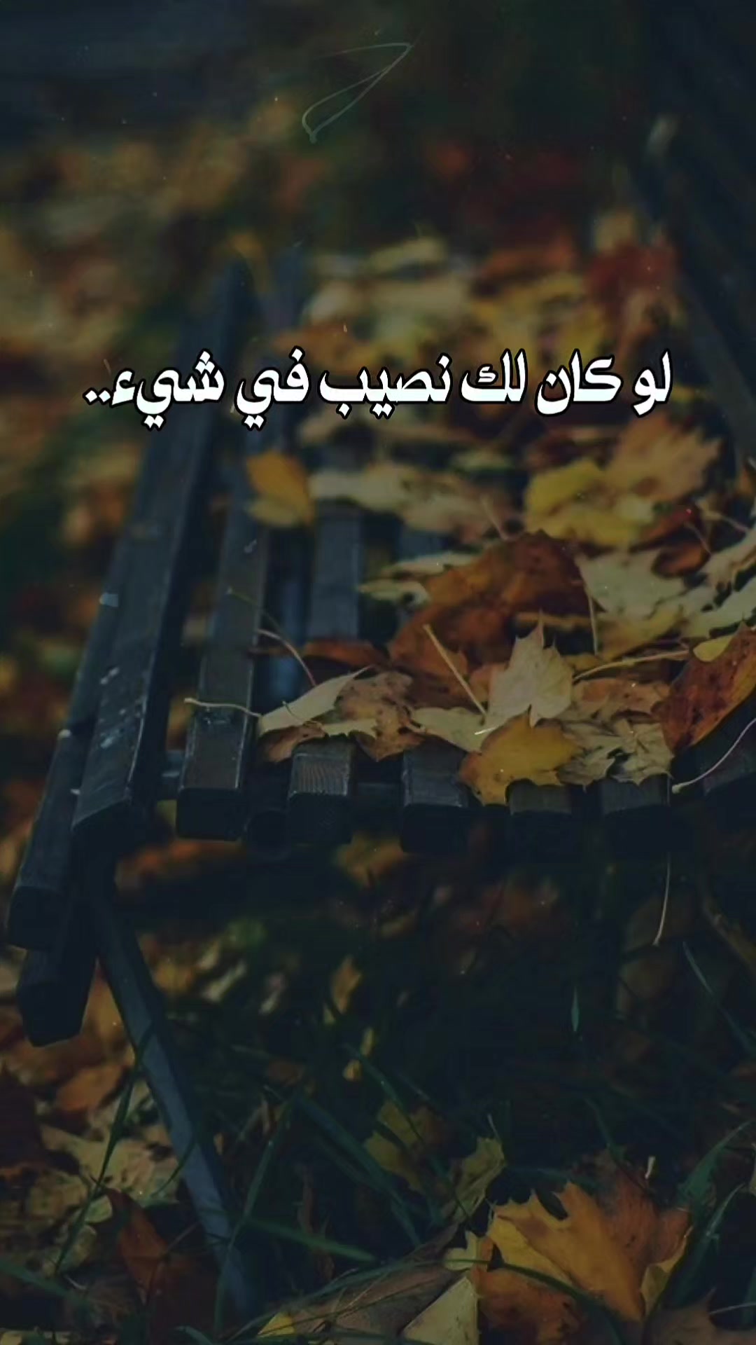 @جلال الدين الرومي