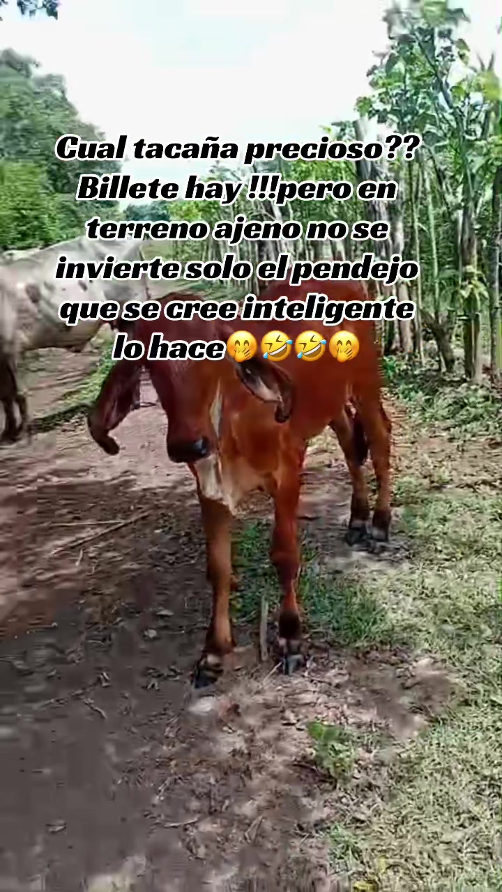 @🇸🇻🕊️👼CAROLINA.ARIAS👼🕊️🥀