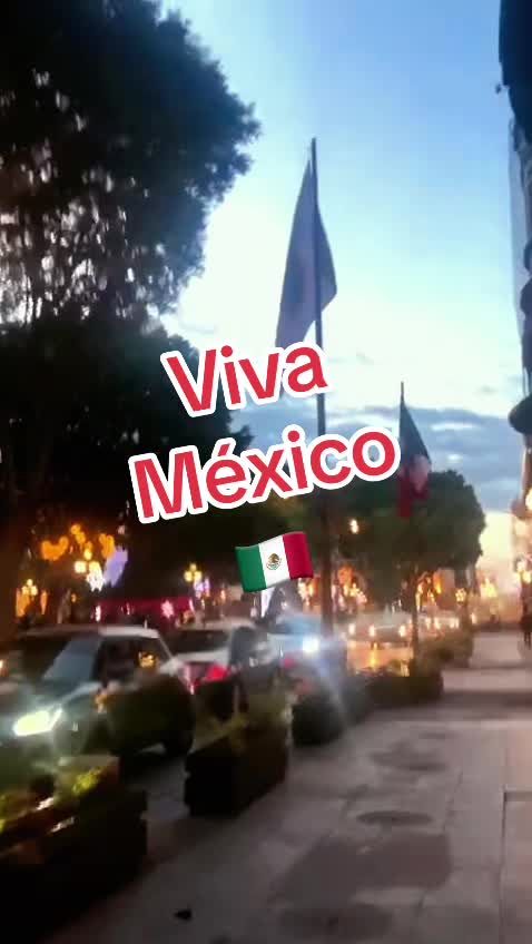 @vidarealconari
