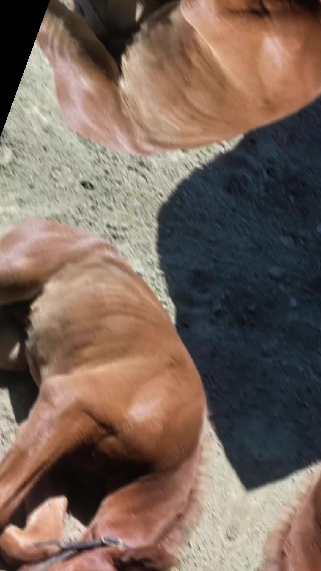 @Rachelrides