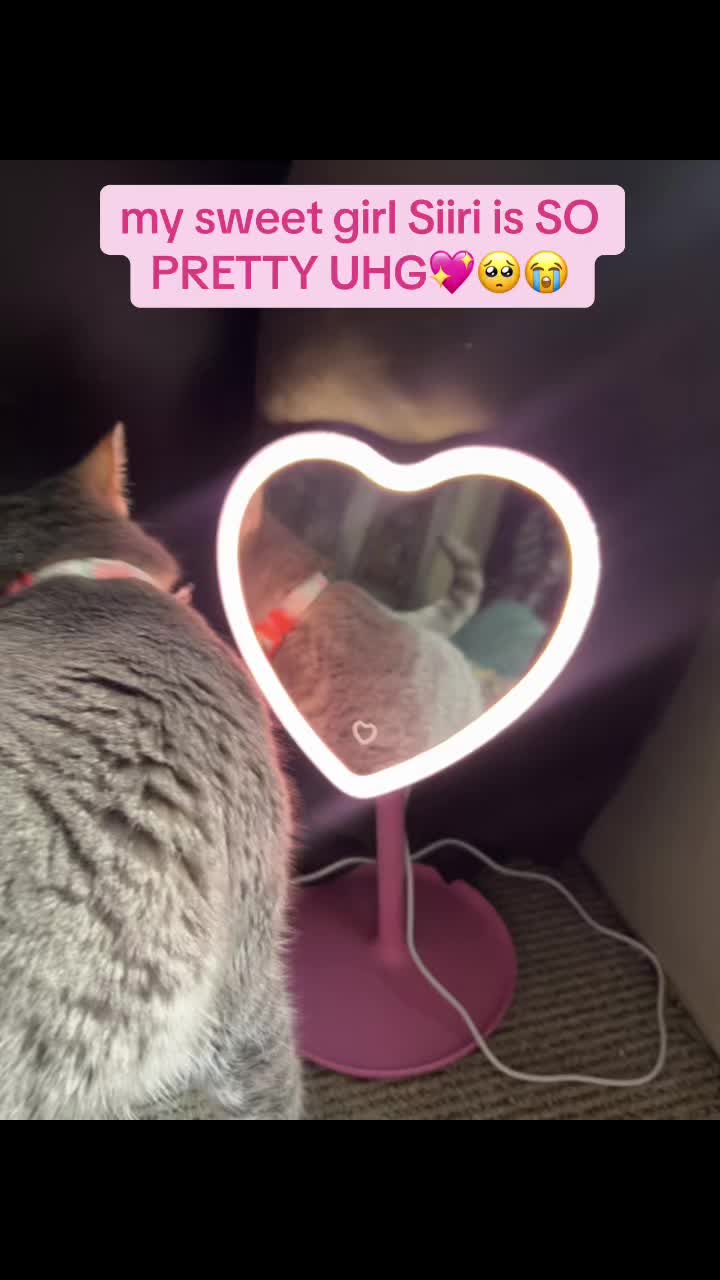 @๐ฅ ๐ฝ๐๐๐๐๐๐ ๐ฅ