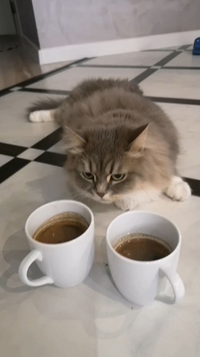 @ЕвГений