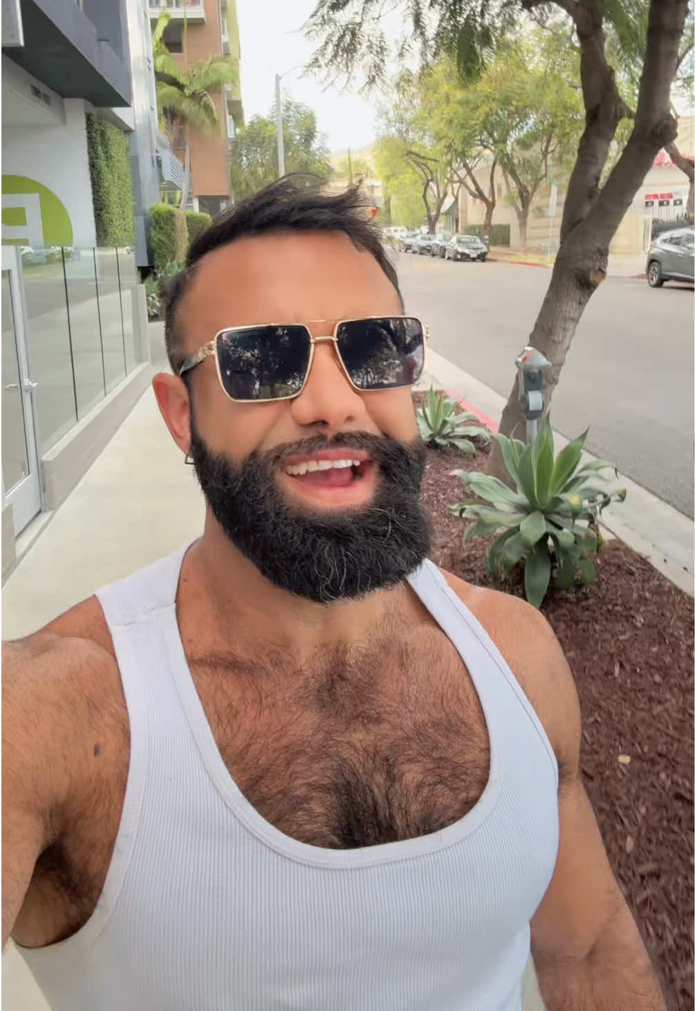 @Persian Wolf 🐺