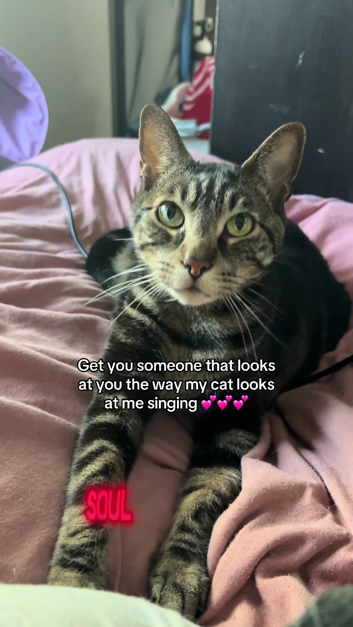 @CainusCreepus