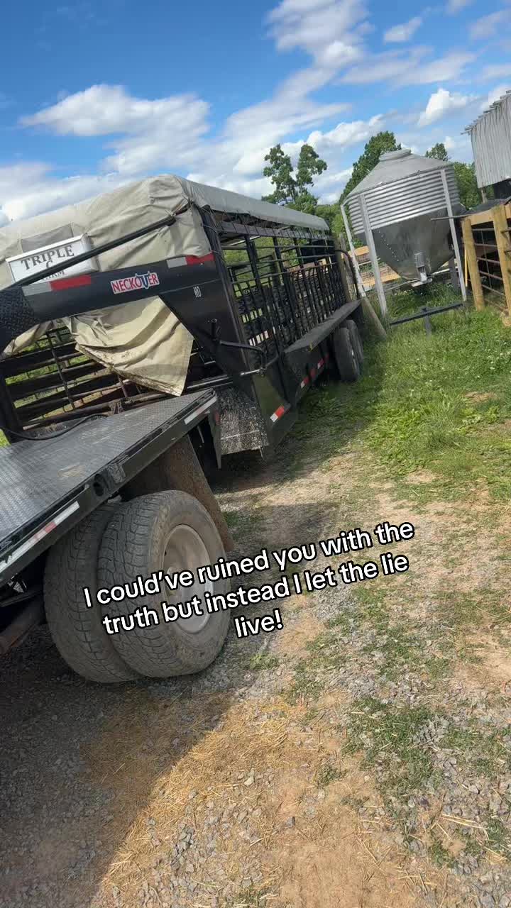 @tripleclivestock