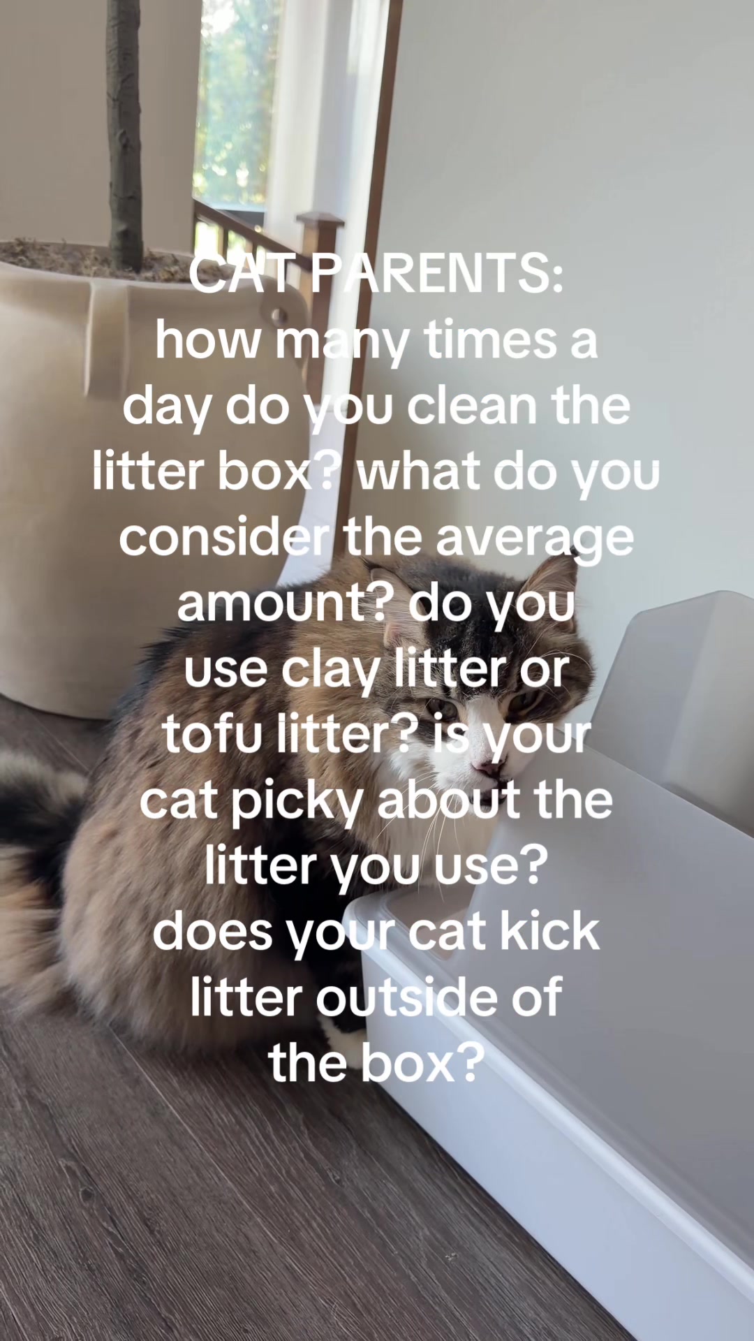@Tuft & Paw