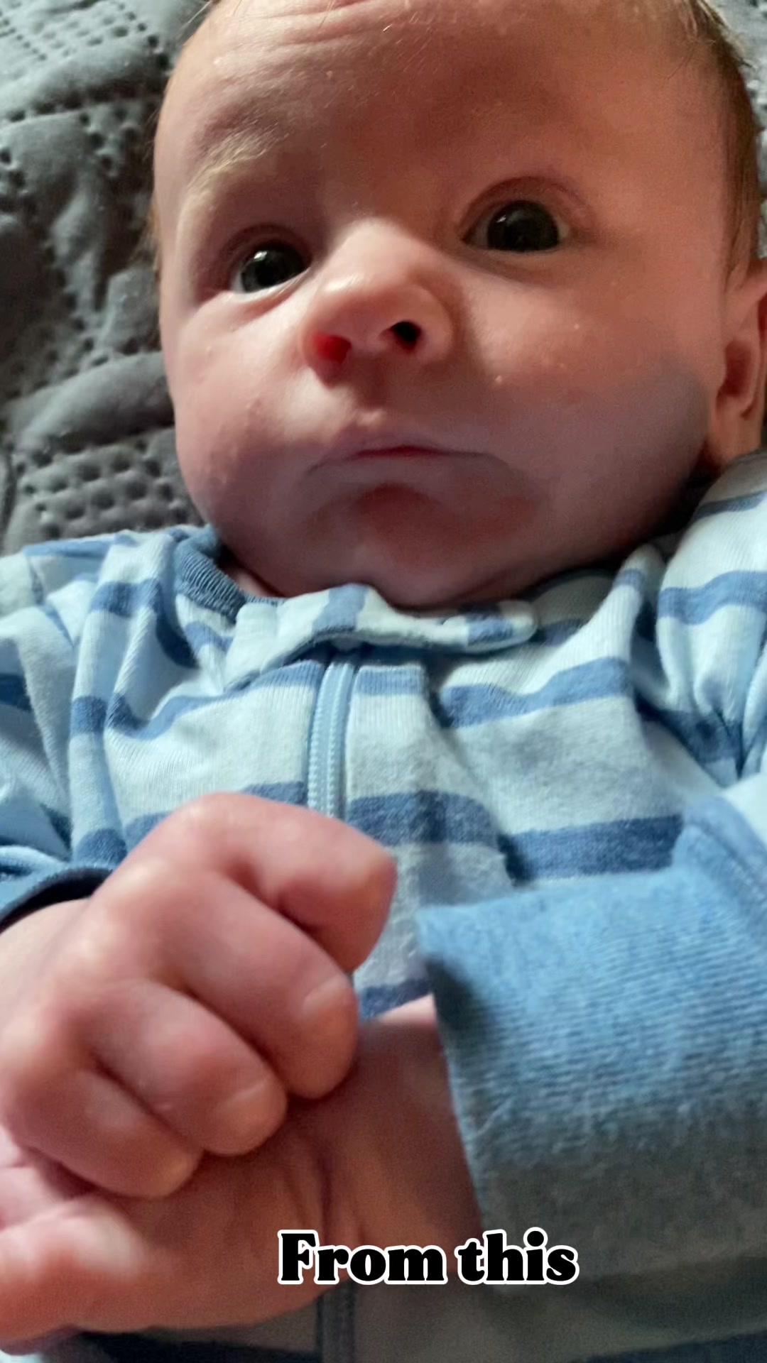 @ReaganMom