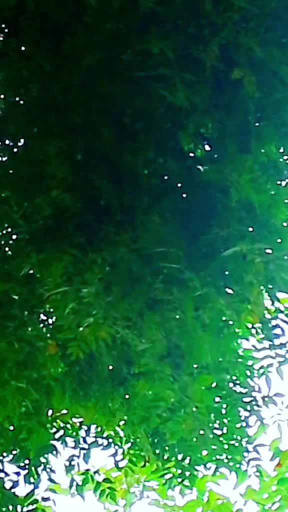 @sohailpanwar