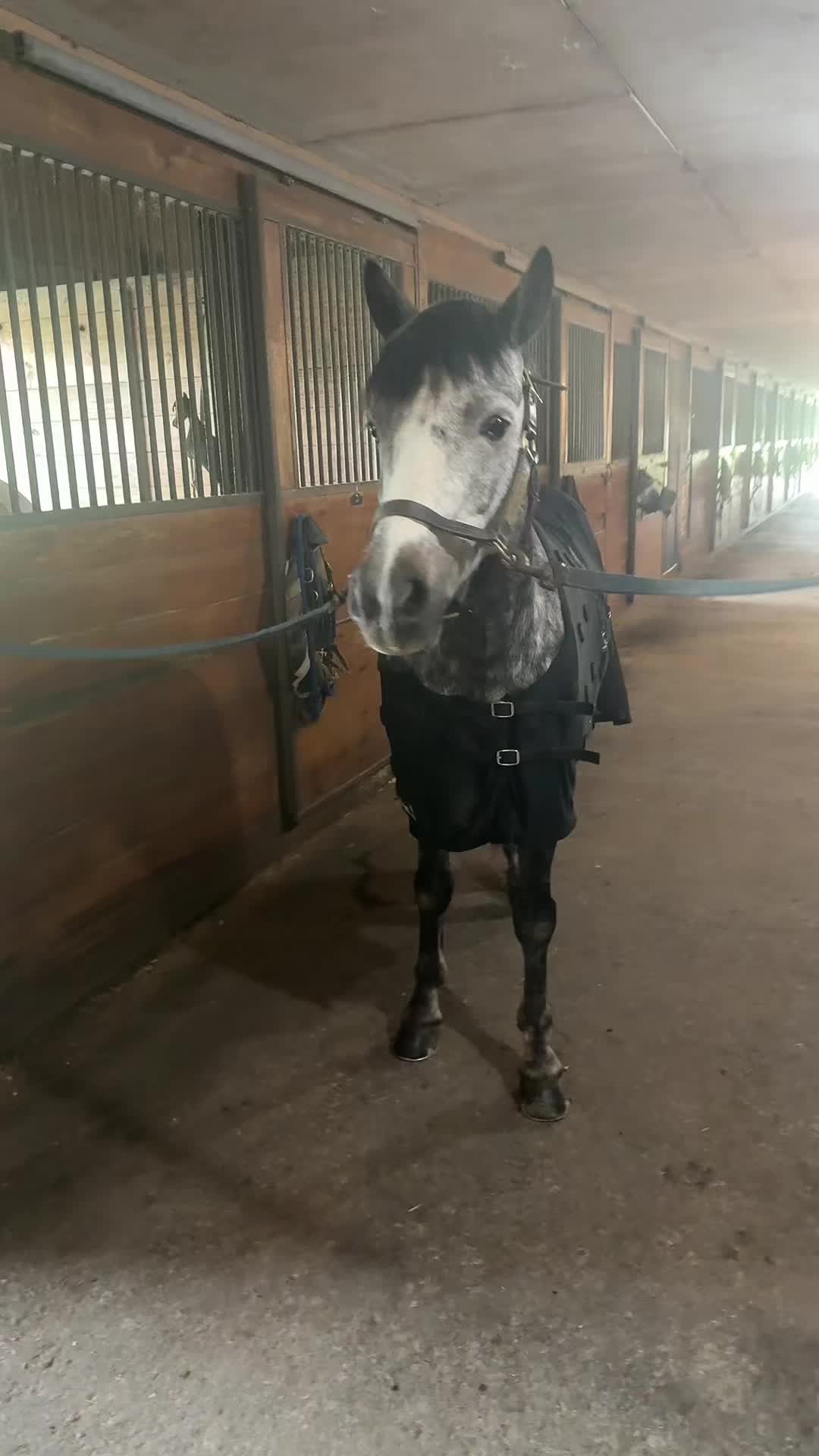 @Bianca_eq