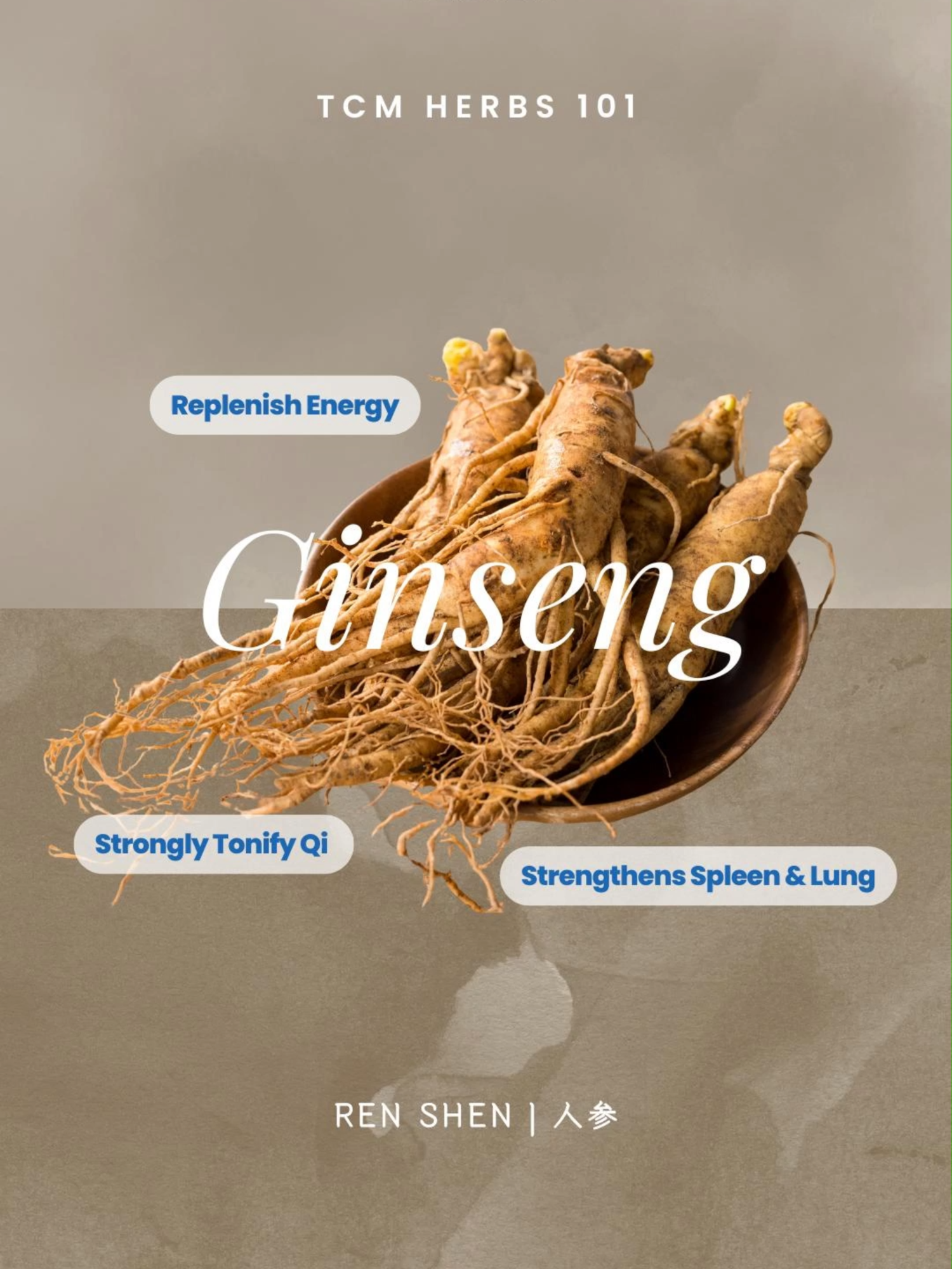 @Yong Kang TCM Clinic 永康中医