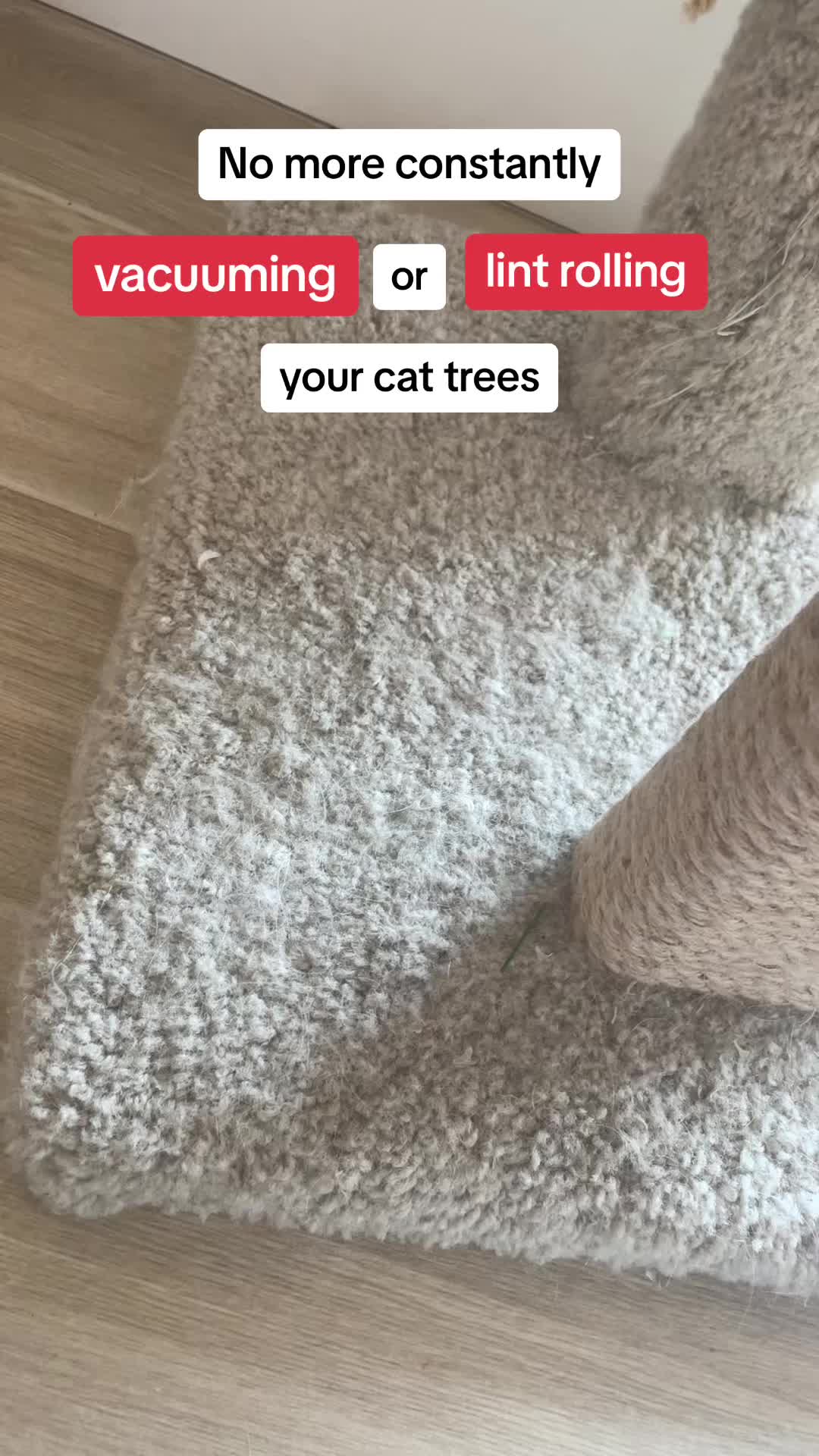 @Dawnald