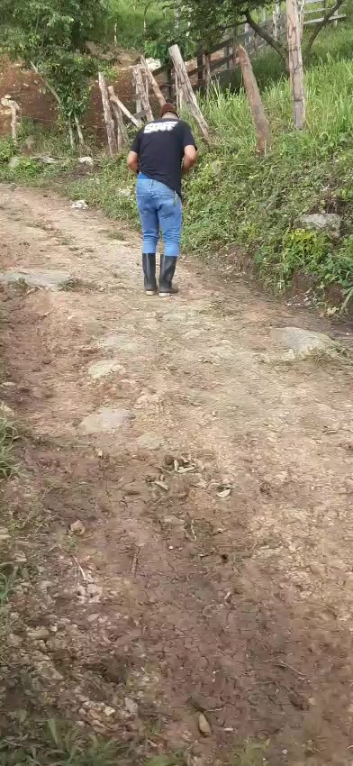 @Fernando Pineda