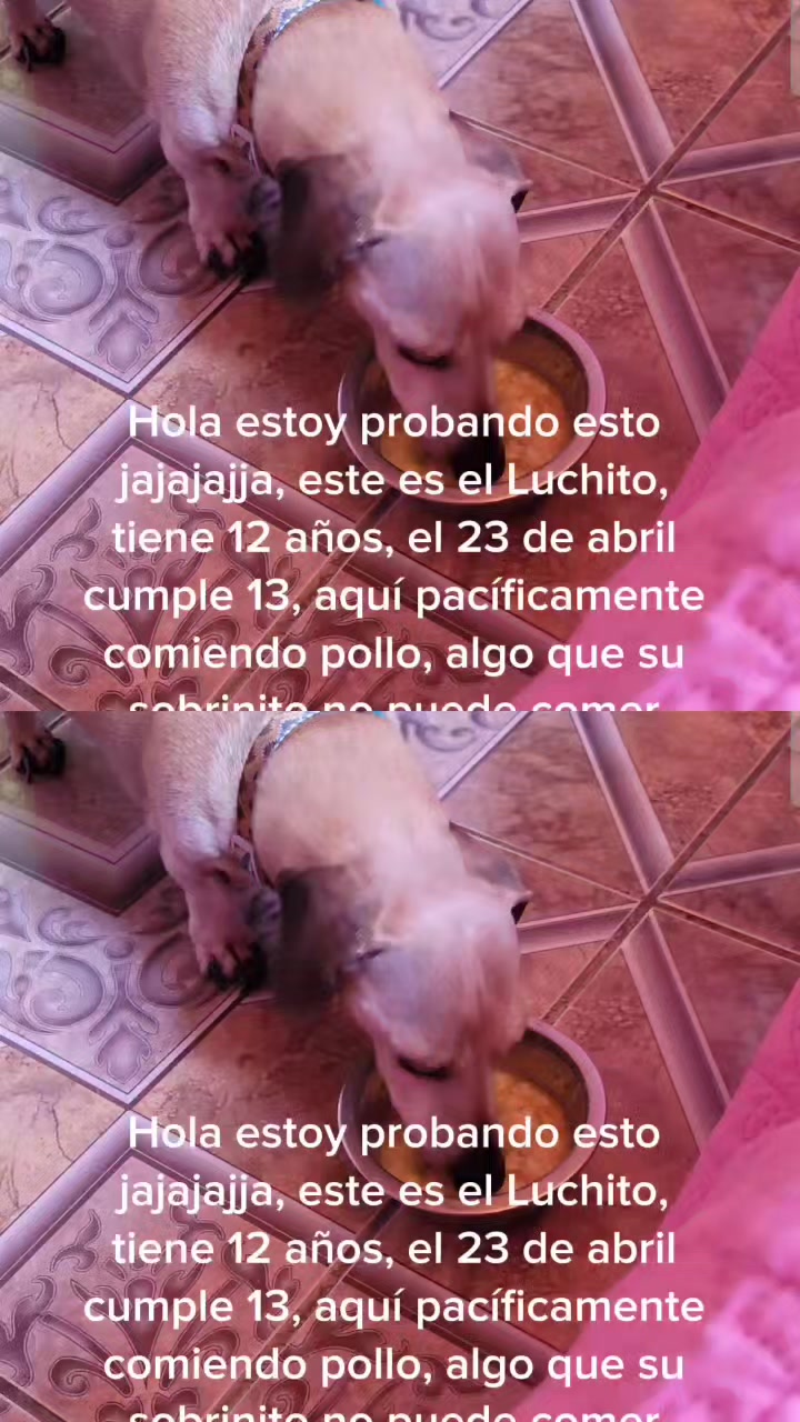 @Rosy Elena Araneda Andrade
